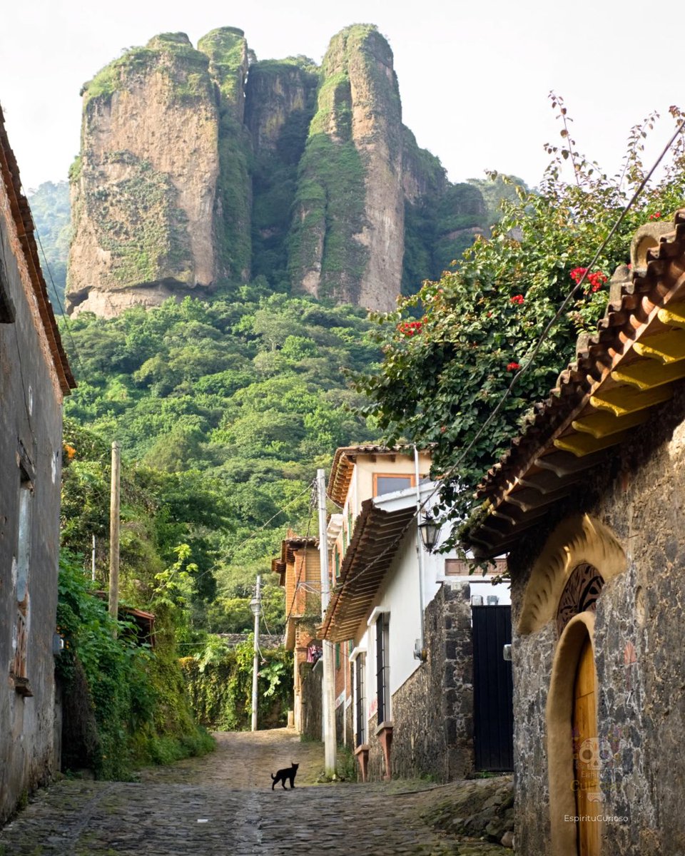 Espíritu Curioso tweet media