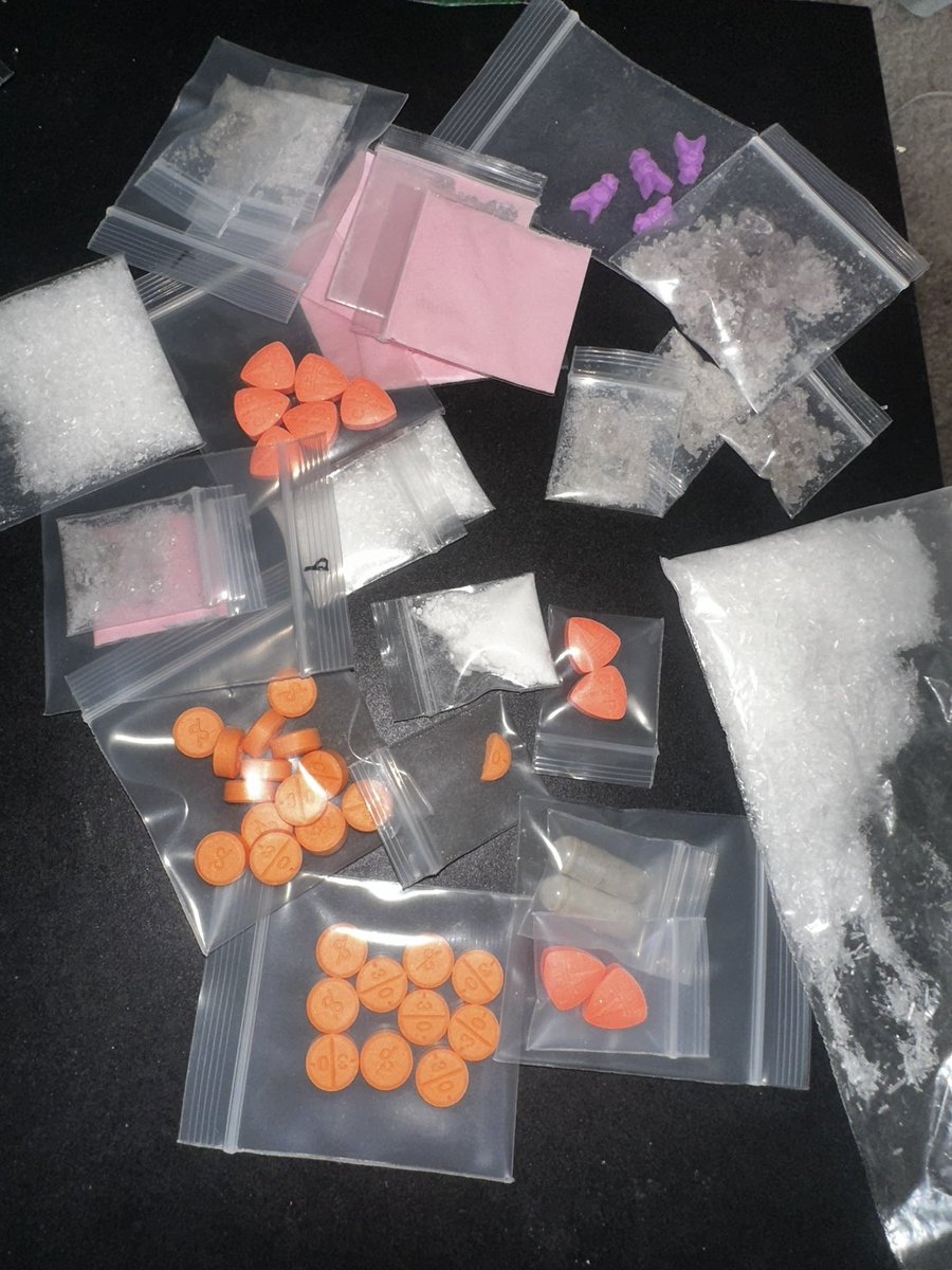 Even Mob™️ tweet media