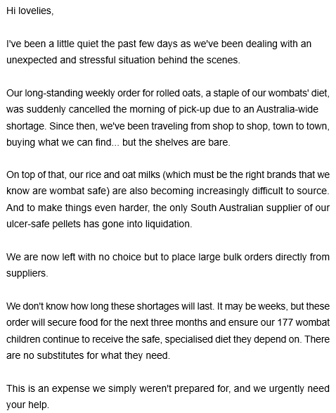 Writing Wombat tweet media