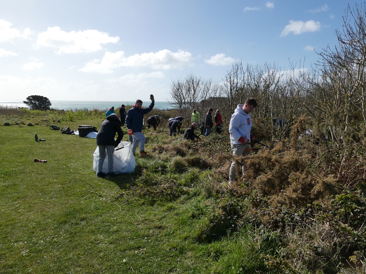 Guernsey Conservation Volunteers tweet media