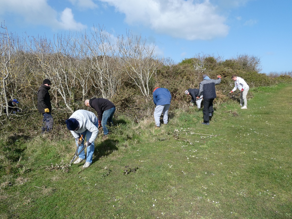 Guernsey Conservation Volunteers tweet media