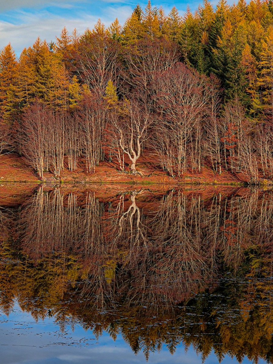 KEYZ さま tweet media