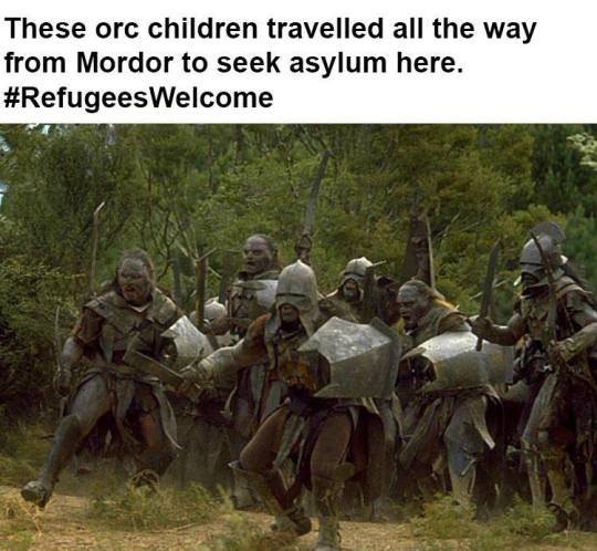 Carolin Schreck tweet media