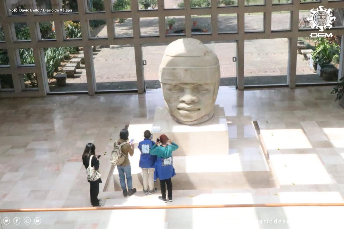 Diario de Xalapa tweet media