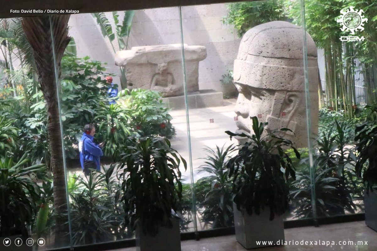 Diario de Xalapa tweet media