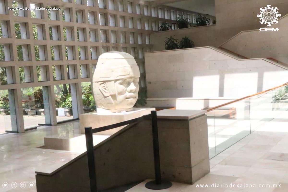 Diario de Xalapa tweet media