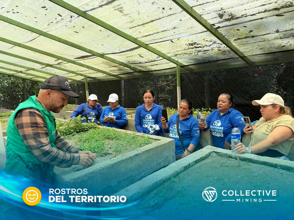 Collective Mining Colombia tweet media