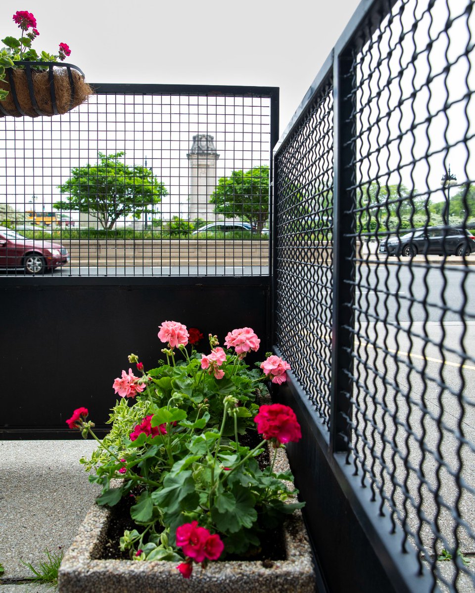 mcnicholsco's tweet image. Framing city greenery in the heart of Chicago! 🌿🏙️

Outside The Congress Plaza Hotel, Wire Mesh creates an open, yet durable boundary that lets both the skyline and plant life shine. 🌆🌸

#WireMesh #InfillPanels #ChicagoArchitecture