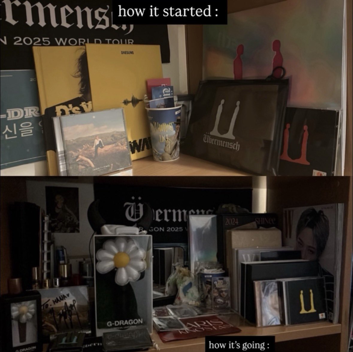 𝘩𝑎𝑛𝑎 🐰 tweet media