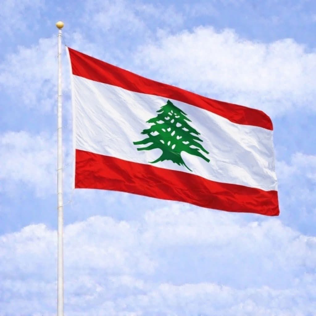 BRICS Monitor tweet media