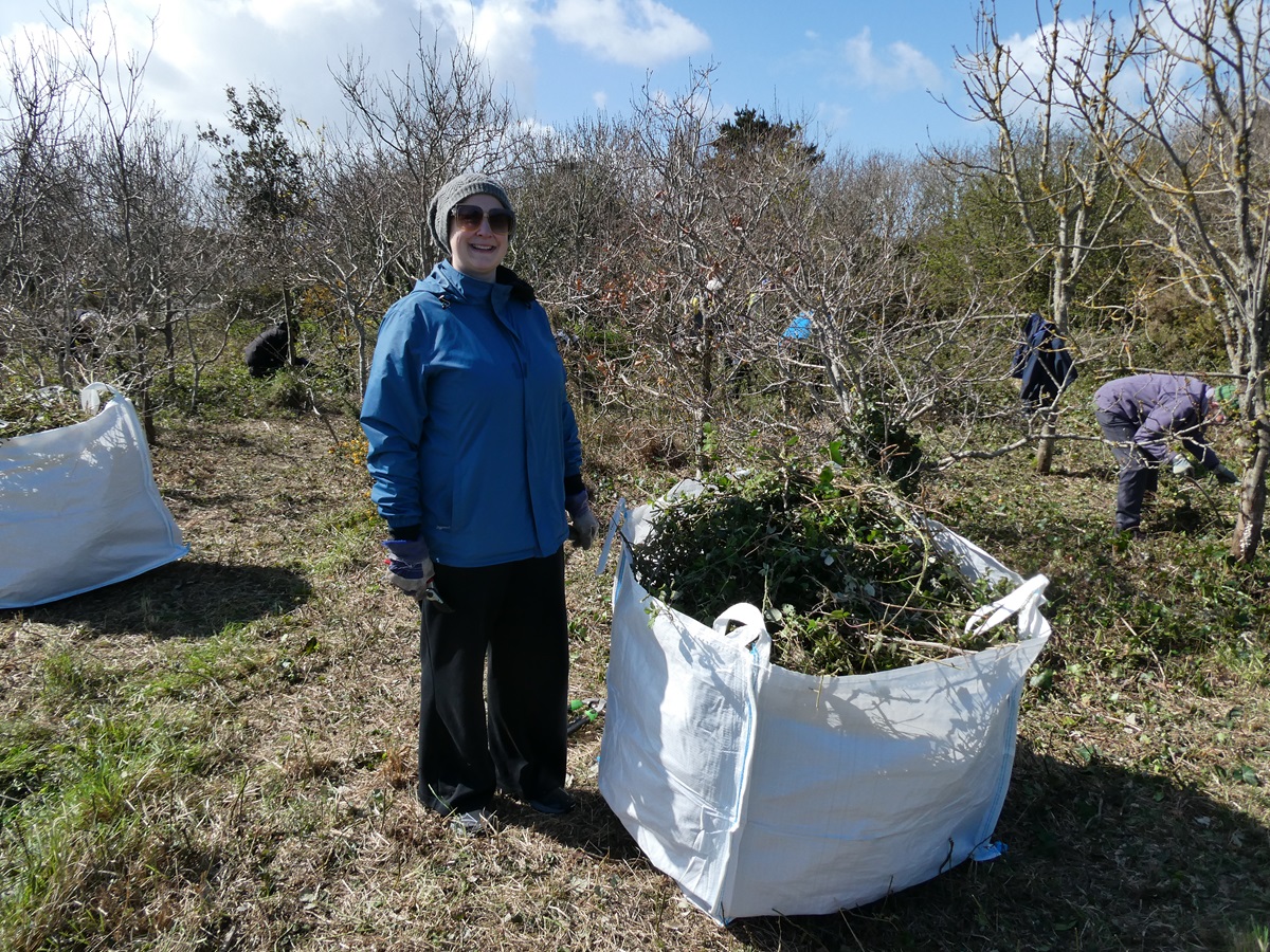 Guernsey Conservation Volunteers tweet media