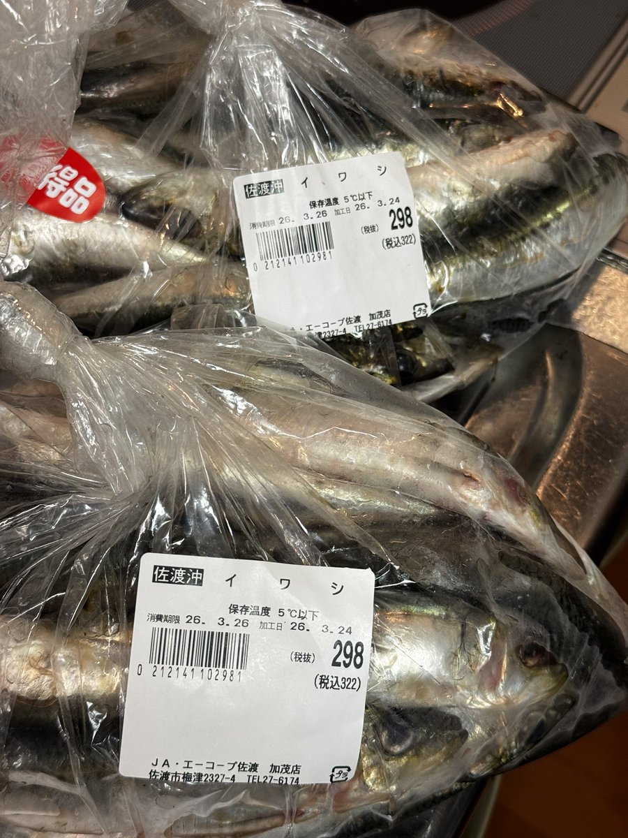 新井さん(仮) tweet media