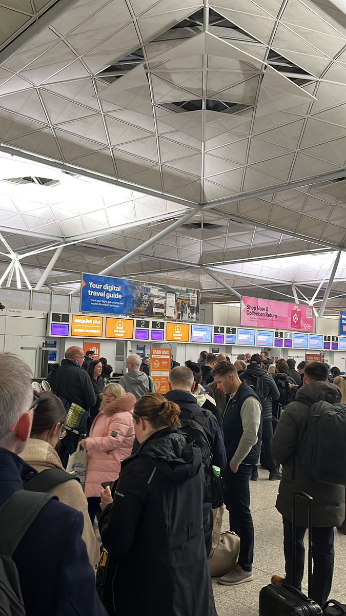 Rob Taylor tweet media