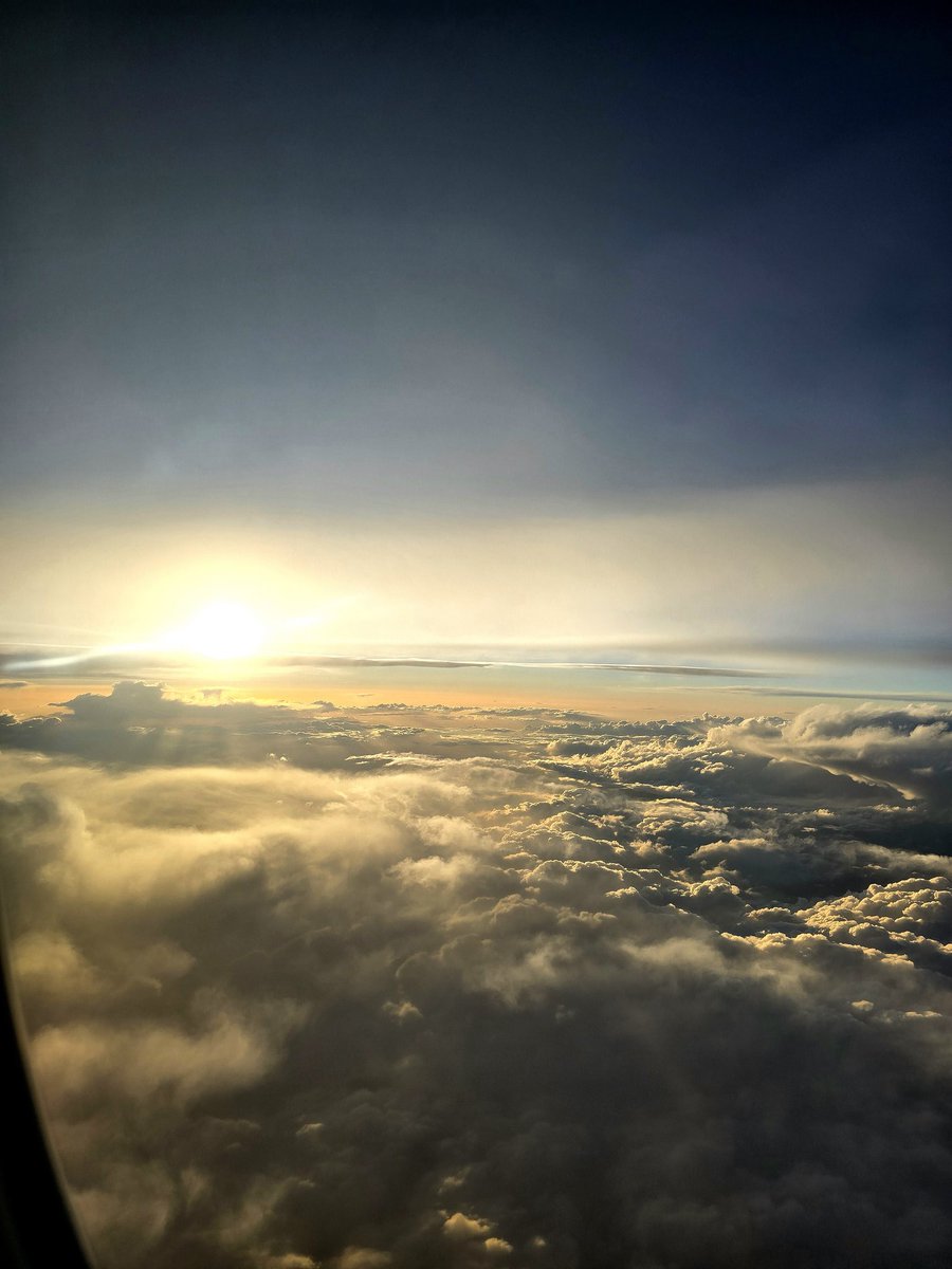 .....🍁 tweet media