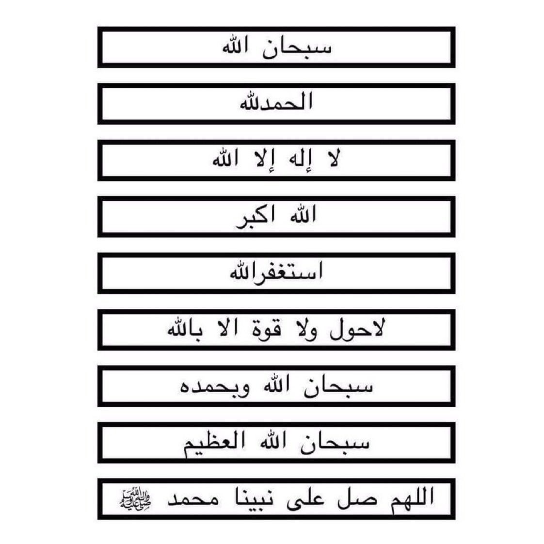 Voices from paradise tweet media