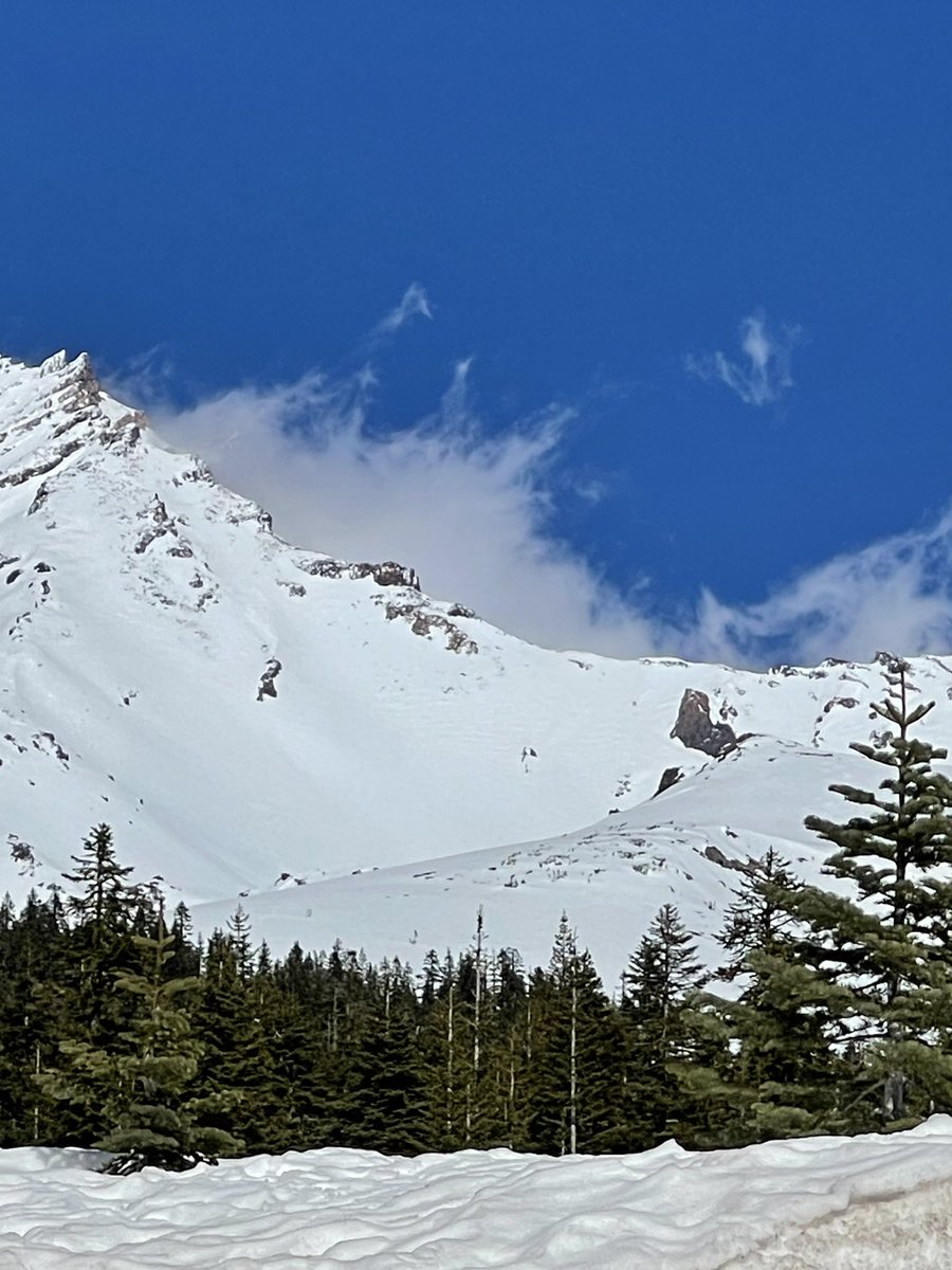 sandra_walter's tweet image. Mount Shasta months coming to a close. Discussing proper ✨Qualification of Light ✨in the LightLetter tomorrow ✨💎✨

Because #Ascension