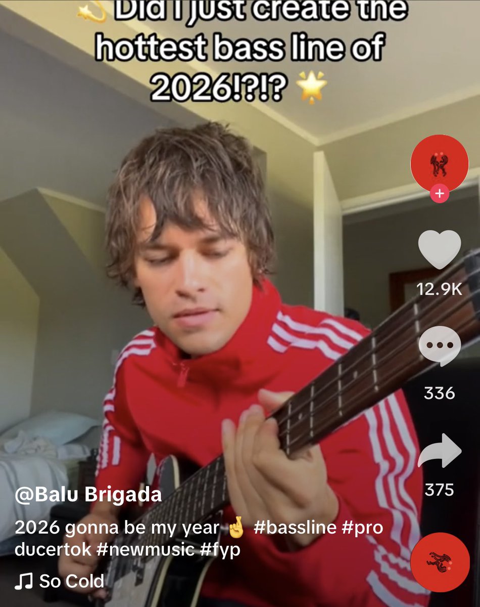 Balu Brigada Brasil tweet media