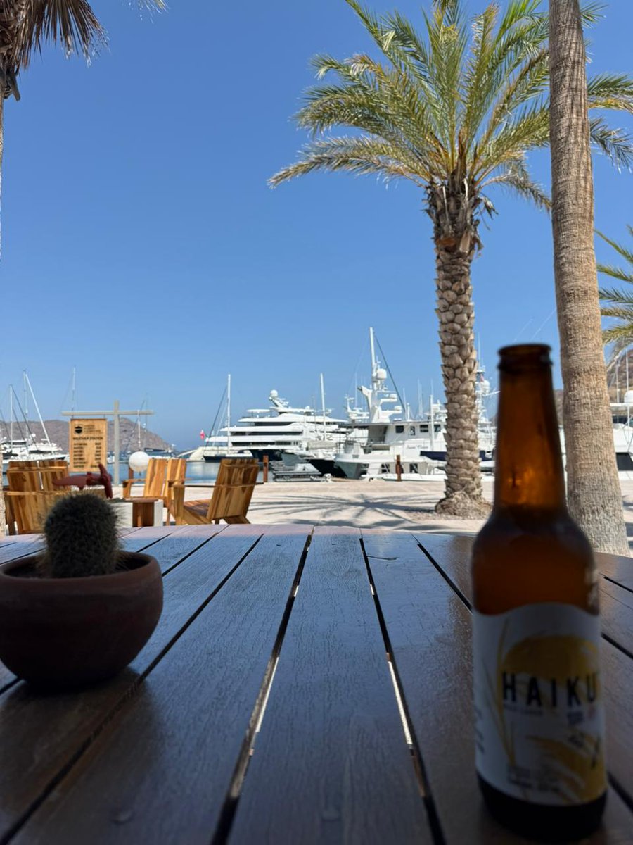 El Muchacho alegre ❤️ 🇲🇽 Nanonino tweet media