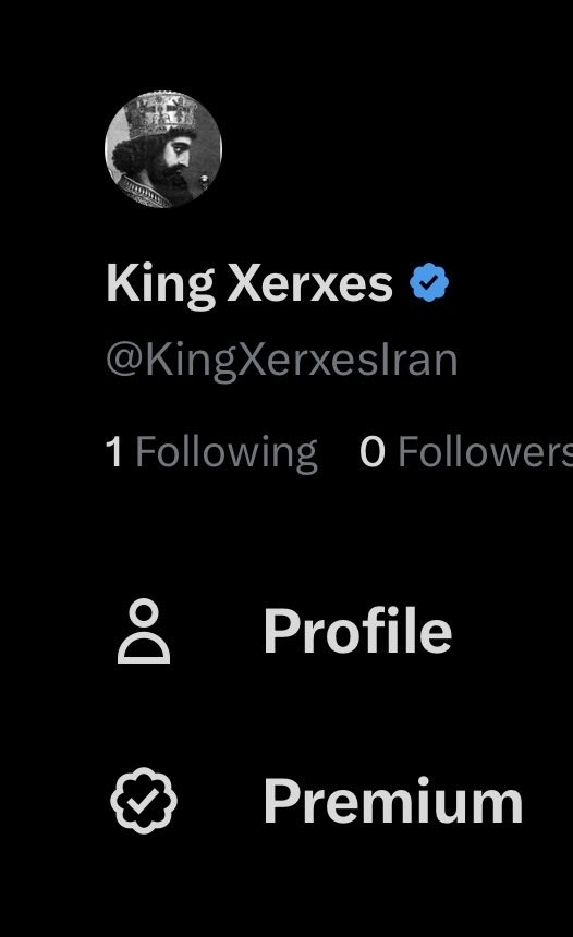 King Xerxes tweet media