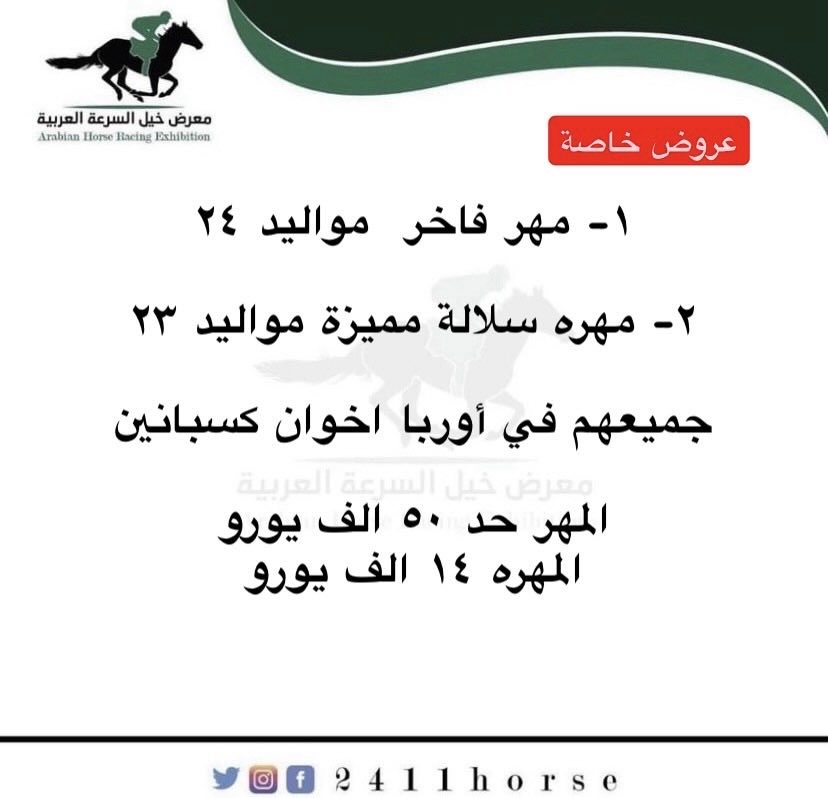 معرض خيل السباق (@24111horse) on Twitter photo 
