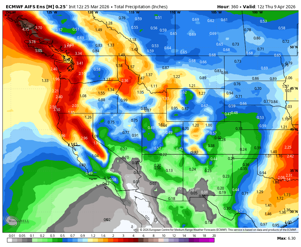 J. Mesh, AMS 🇺🇸 tweet media