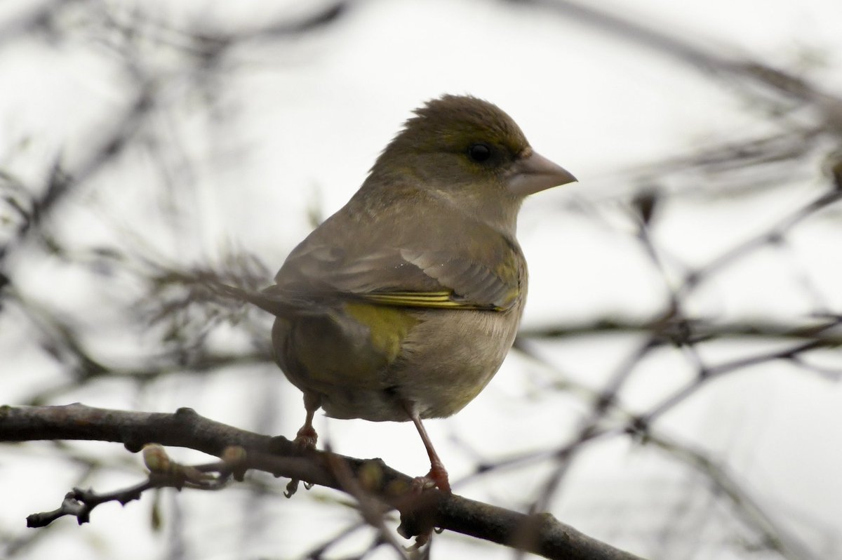 Phil Burnside tweet media