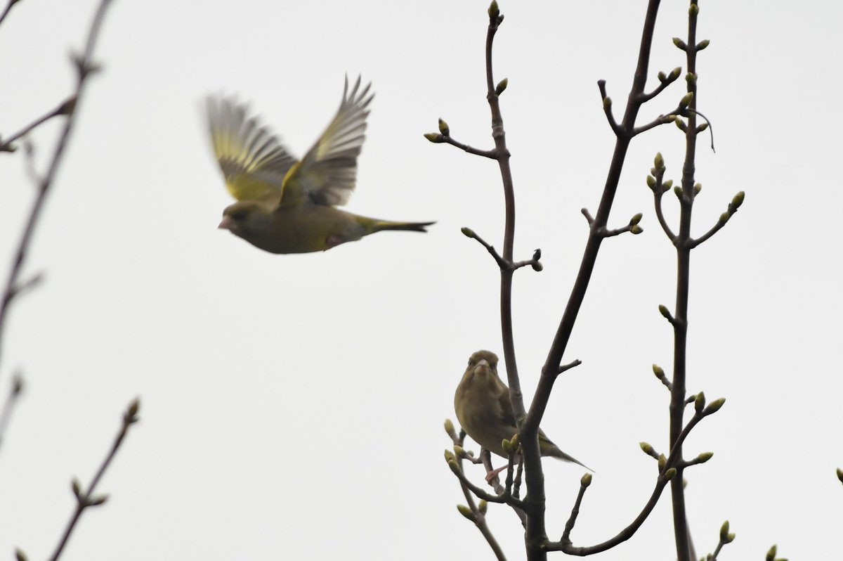 Phil Burnside tweet media