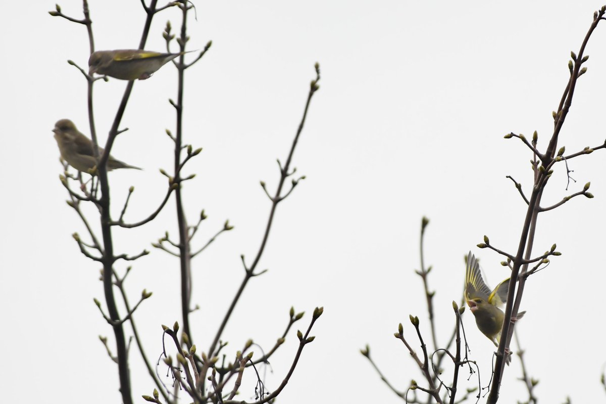 Phil Burnside tweet media