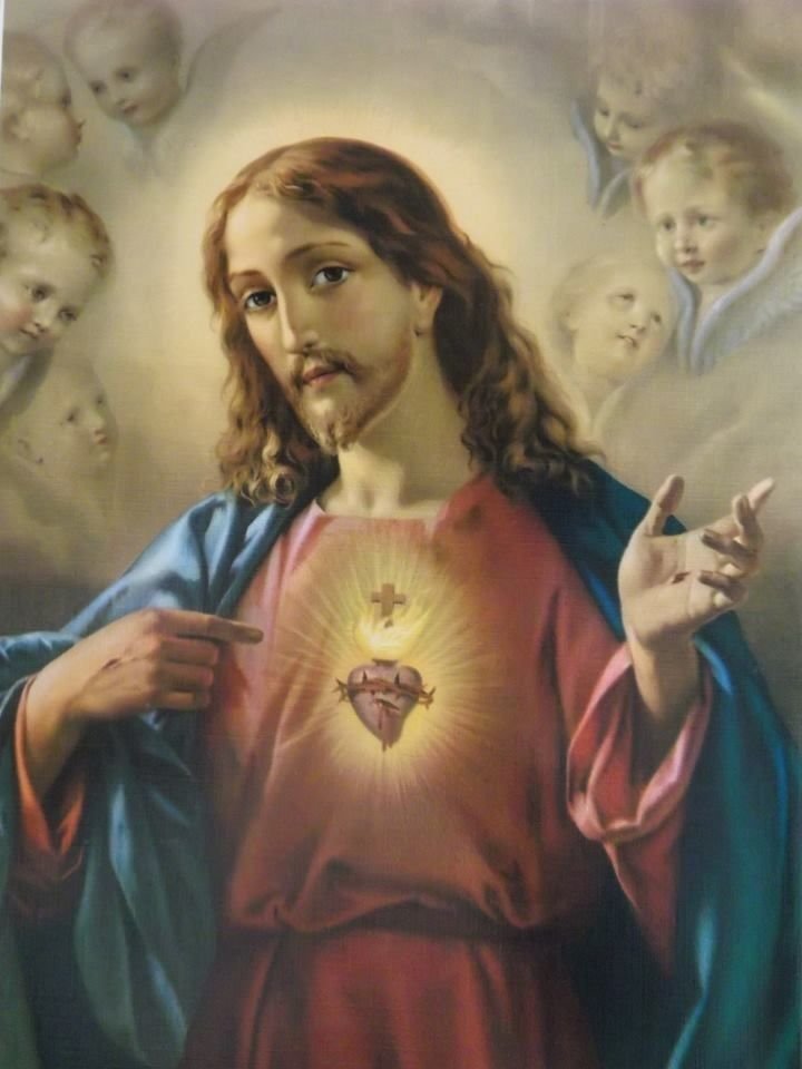 Apostolado Montfort 🇻🇦 tweet media