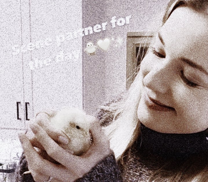 ᅠ ‍ₐ̅ ᅠ ‍ᅠ𝓓ᴿᴬᴳ ᅠ ‍╱ ᅠ ‍𝓅𝙰͟𝚃͟𝙷 ᅠ ‍*ᅠ ‍ᅠ ‍ ‍ ‍ tweet media