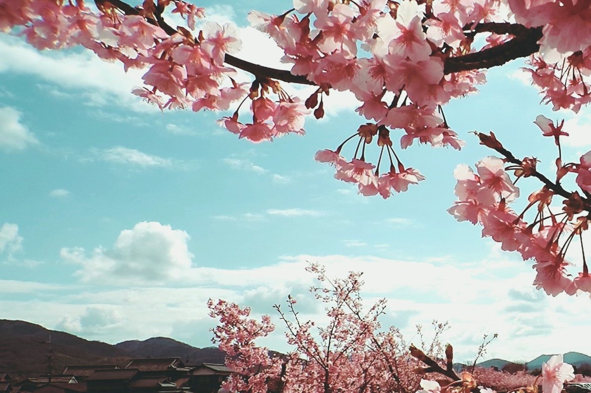 mint︎︎𓂃⟡.· tweet media