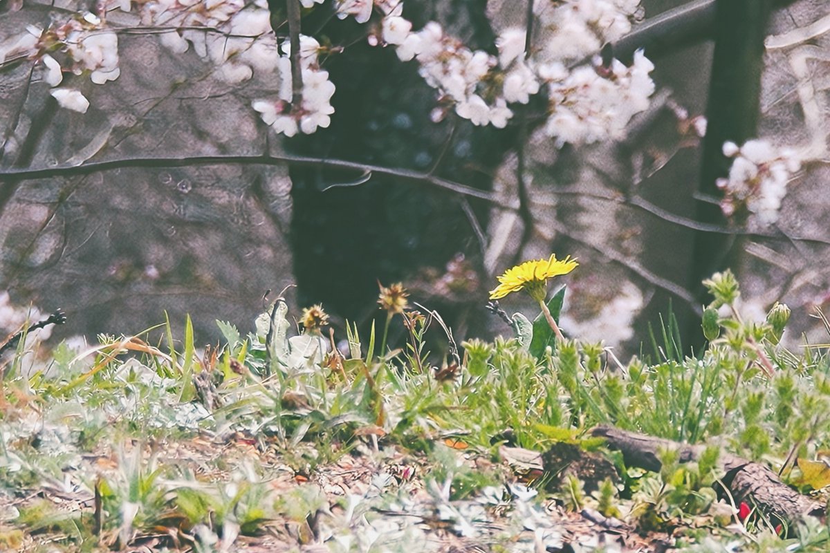 mint︎︎𓂃⟡.· tweet media