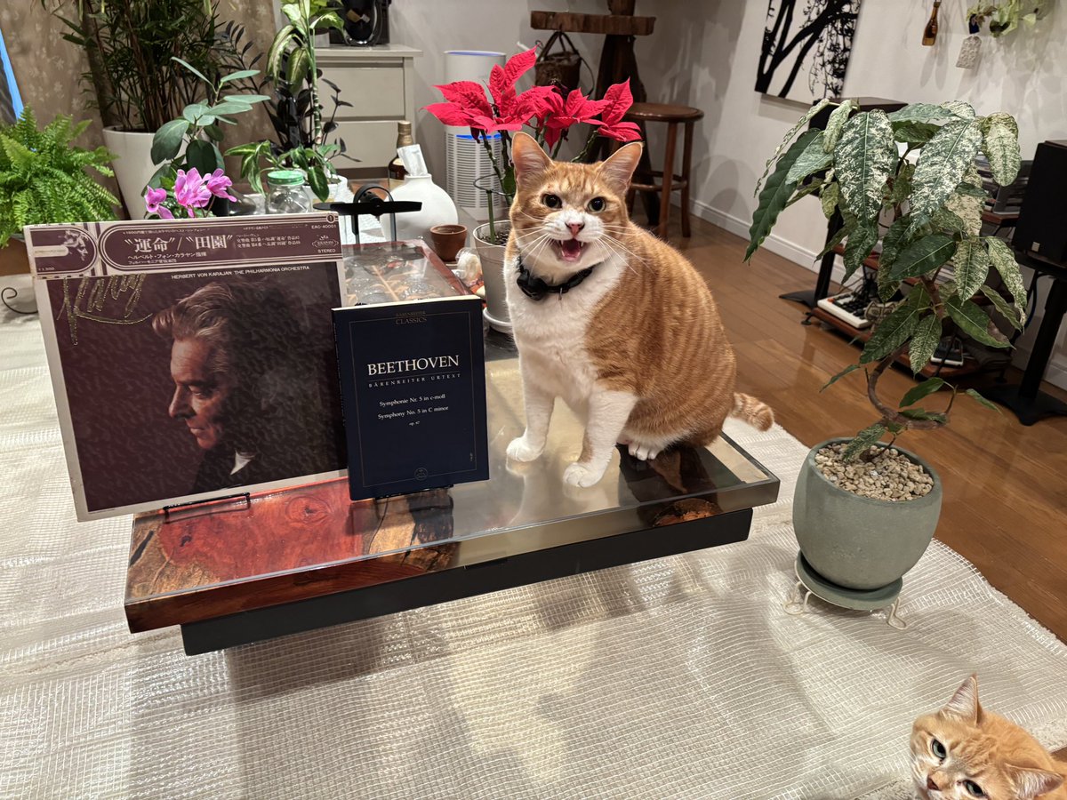 株式会社フォレスト＠中の人1号 tweet media