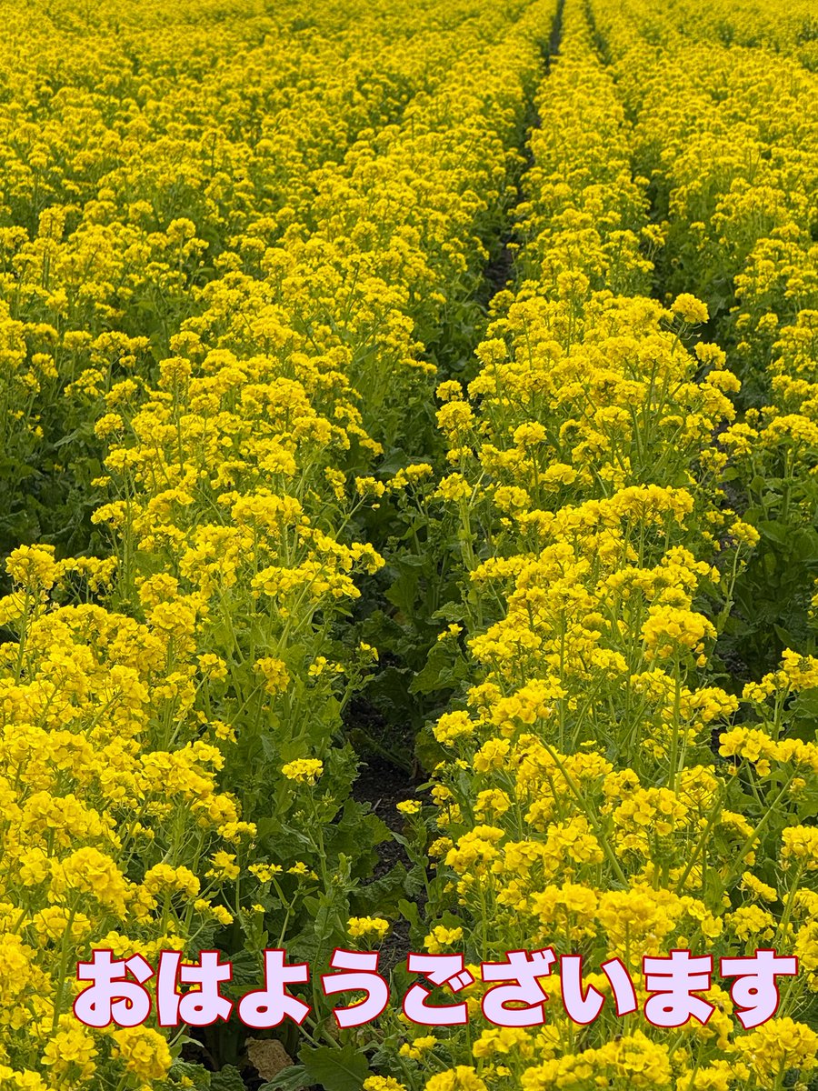 さんぺい tweet media