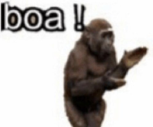 Sem Cubismo tweet media