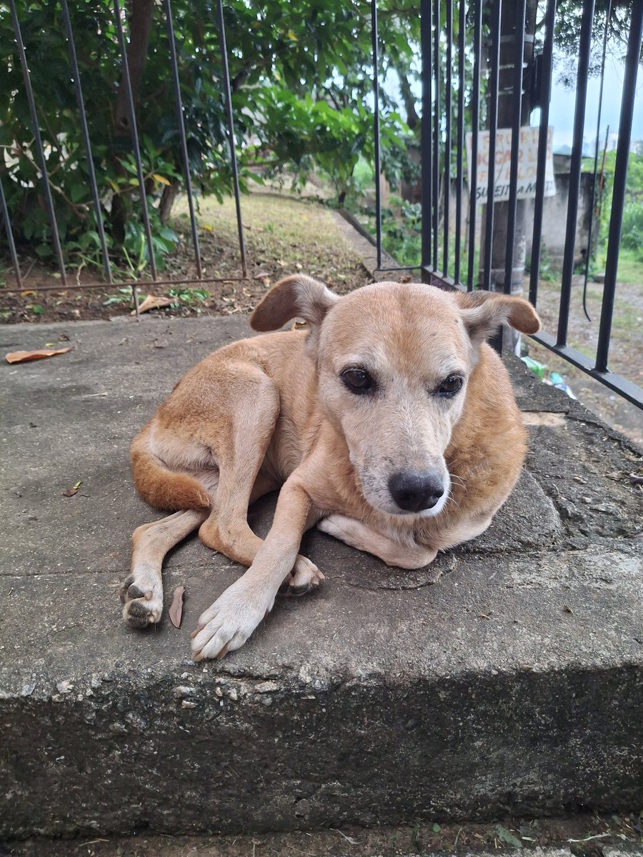 perita criminal do futuro🍒 tweet media