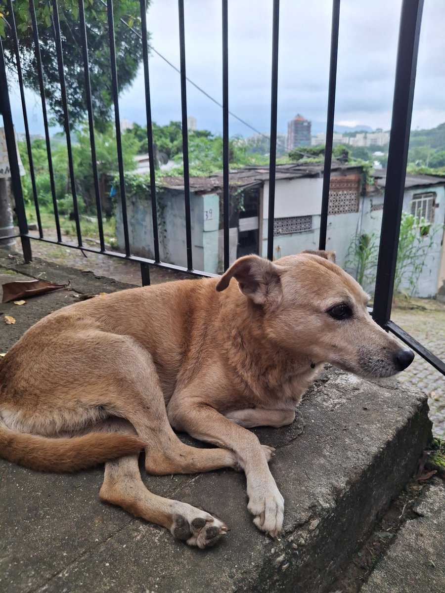 perita criminal do futuro🍒 tweet media