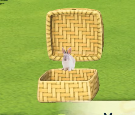 liberal & anarchist tweet media