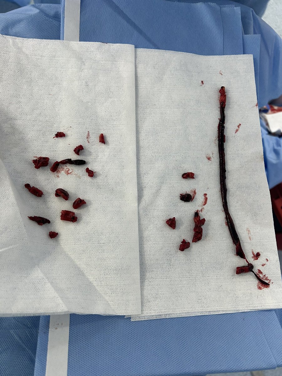 Leonardo Randial tweet media