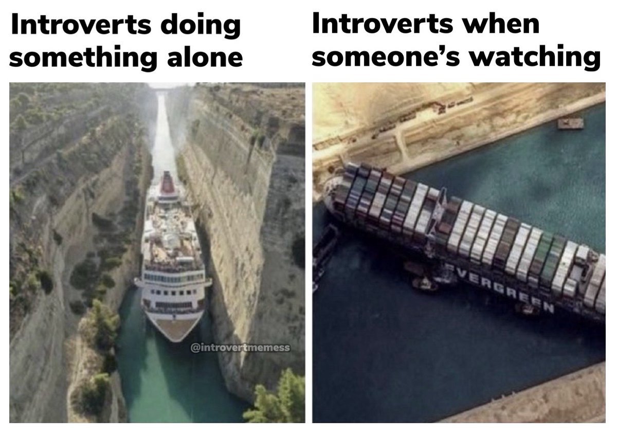 AllAbIntroverts's tweet photo. https://t.co/vMZl4w0VfO