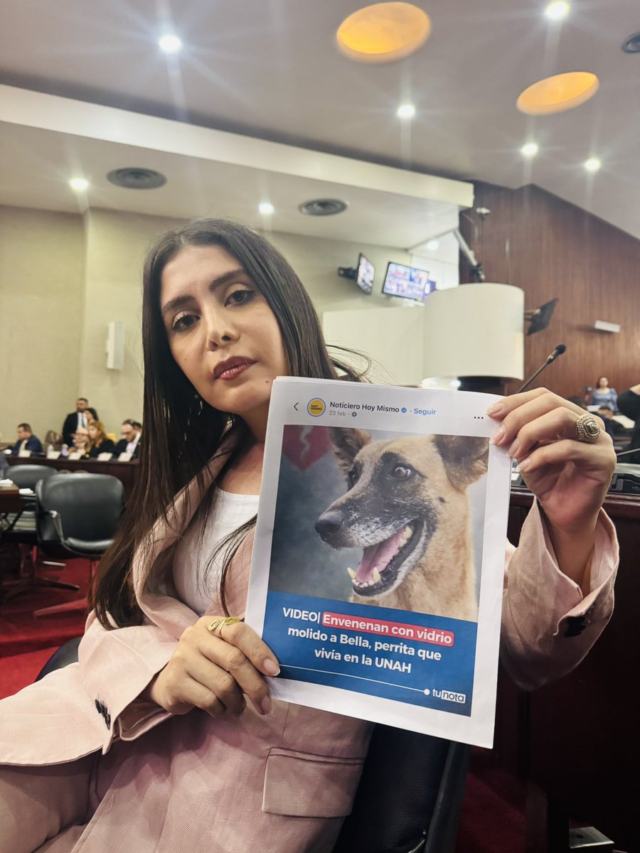 Iroshka Elvir Diputada tweet media