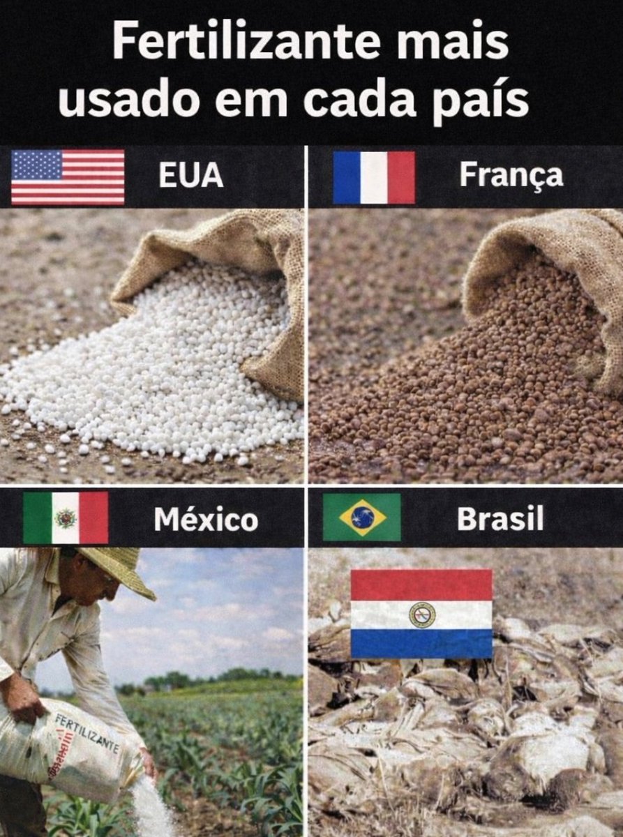 Hexa da Silva tweet media