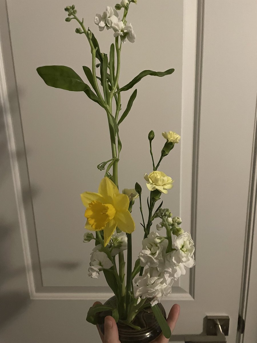 oyster 𓅊 tweet media