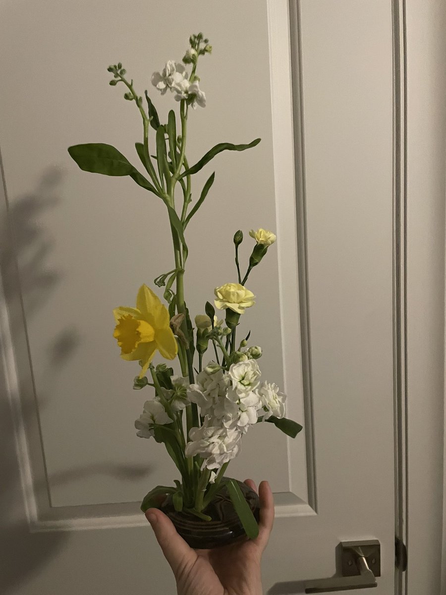 oyster 𓅊 tweet media