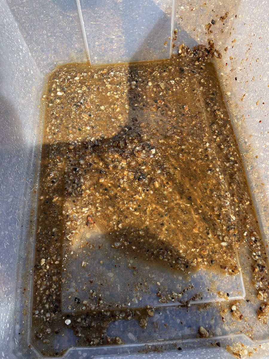 txagO5's tweet photo. @BadgedPatriot Here’s the solids from our 50 gal tank.  I drain each year. https://t.co/H0AKMypxNY
