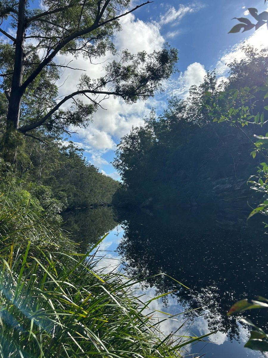 ਦੀਪ ਸੰਧੂ Deep K Sandhu tweet media