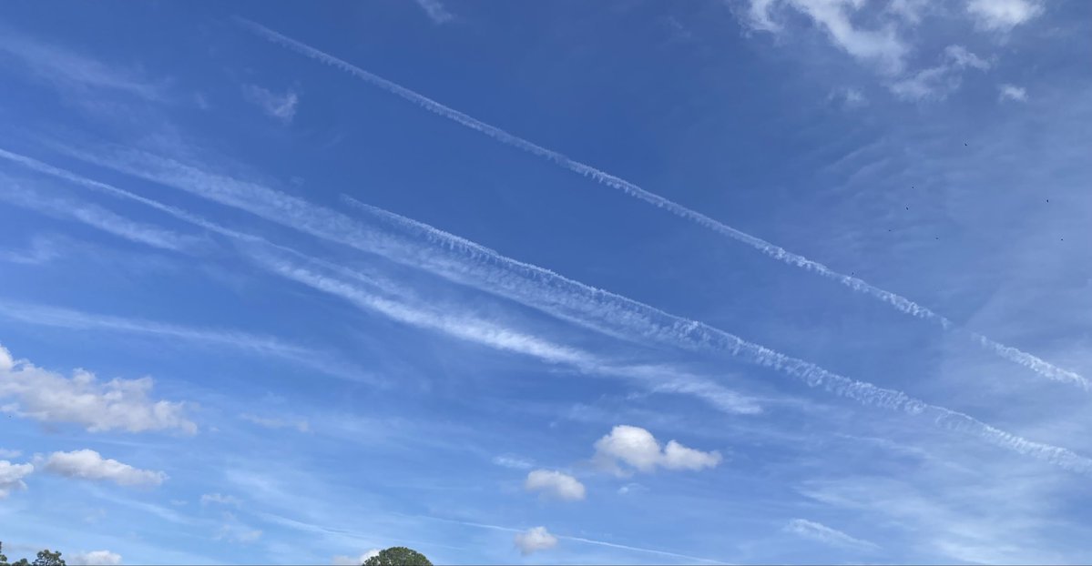 Kittywitty tweet media