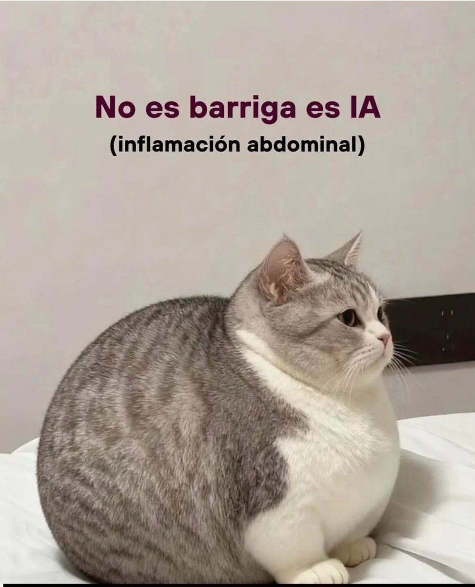 Dilo con gatitoz tweet media