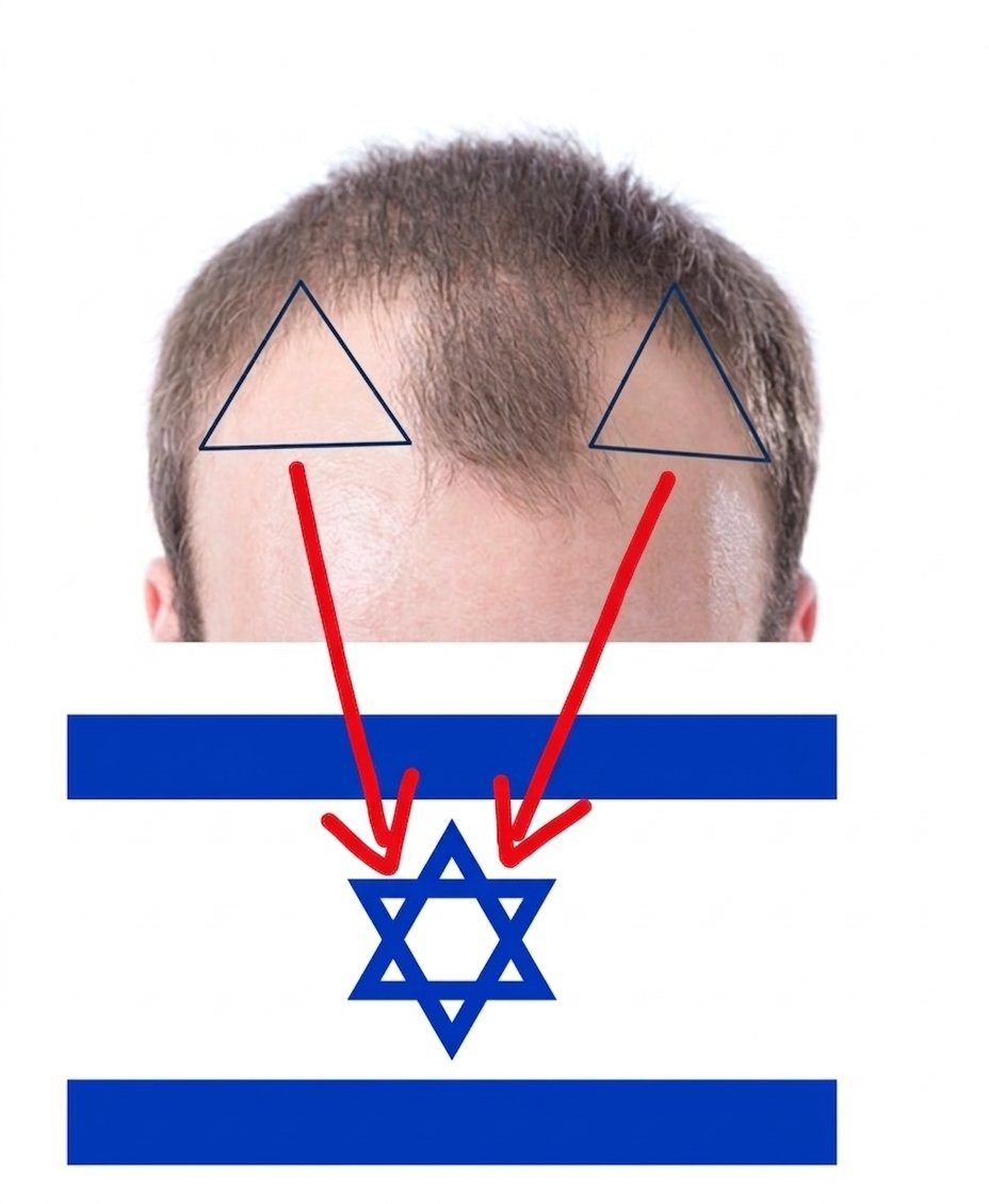 manni atomowitz ☢️🏳️‍🌈 tweet media