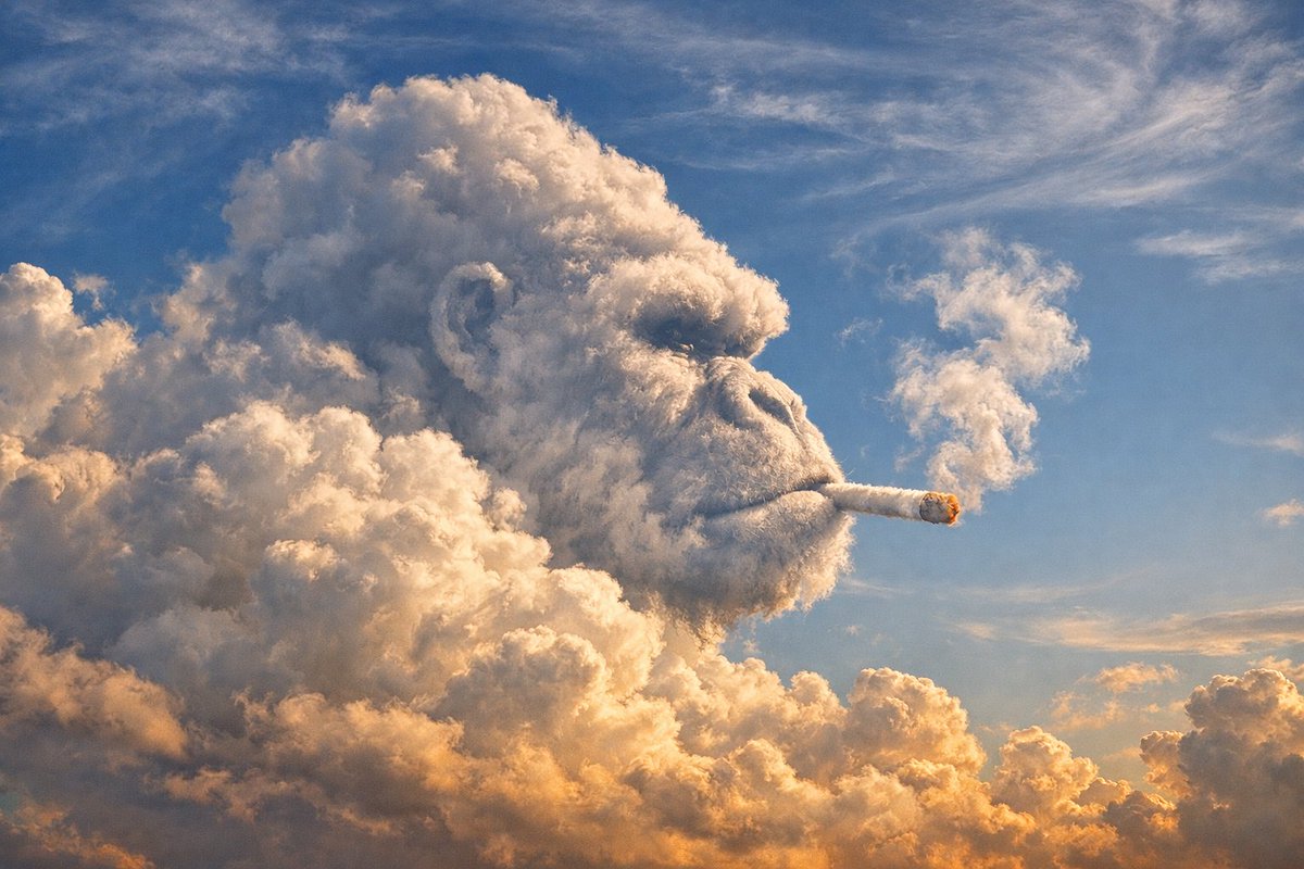 Don Tintero tweet media